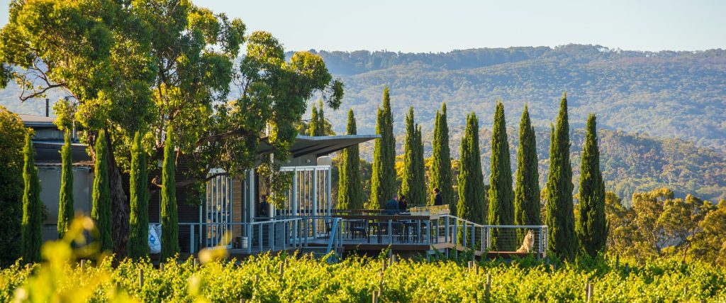 the lane vineyard hahndorf